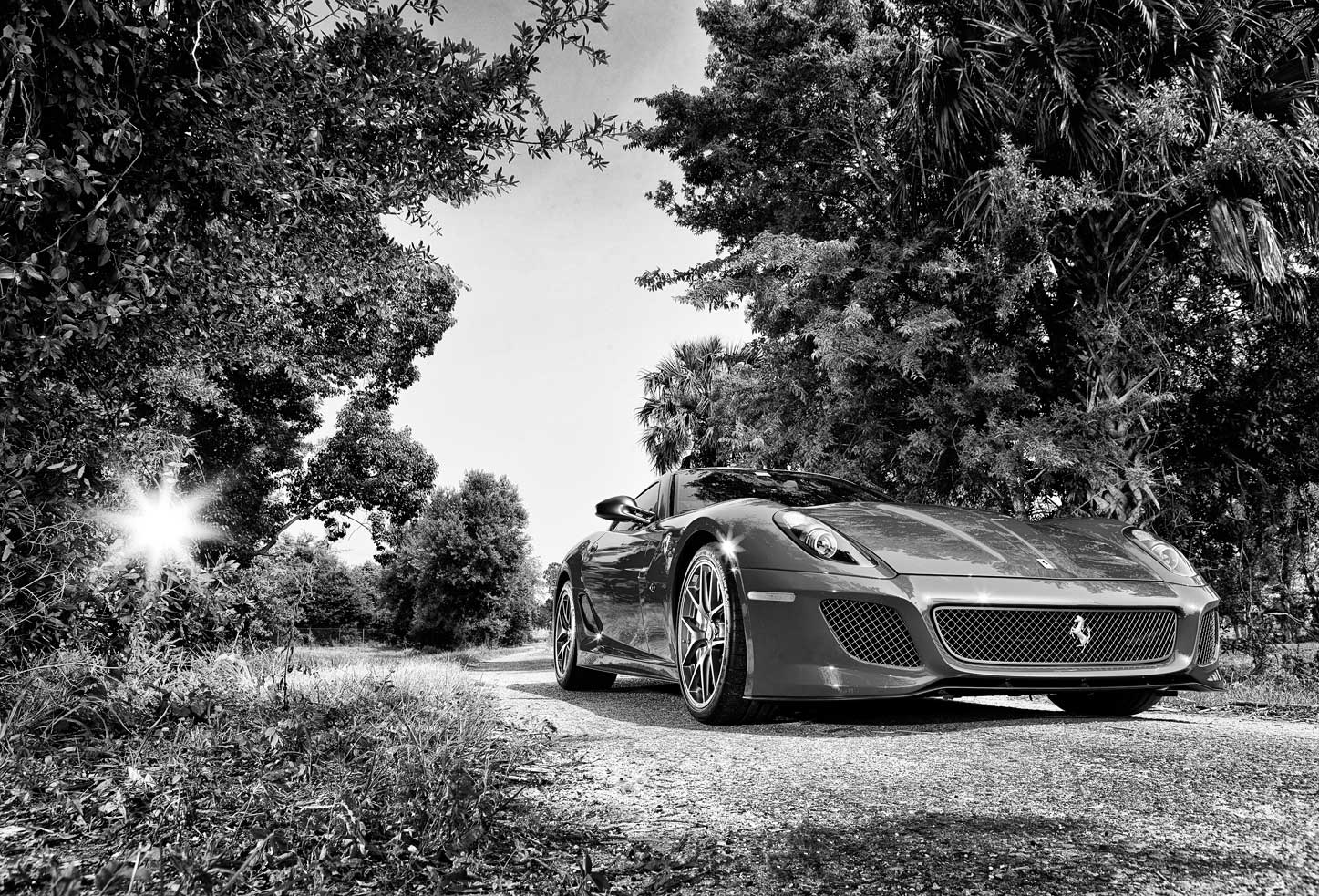 Ferrari 599 GTO